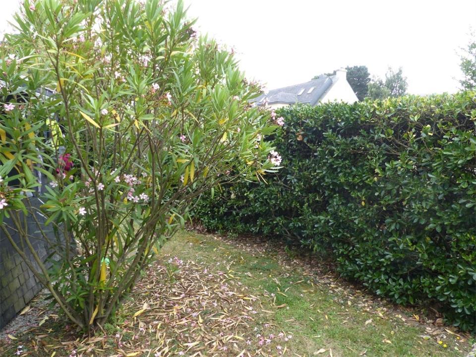 Port An Dro 1 - Wifi, Jardin, Plage 200M - K295 Necochea Ngoại thất bức ảnh